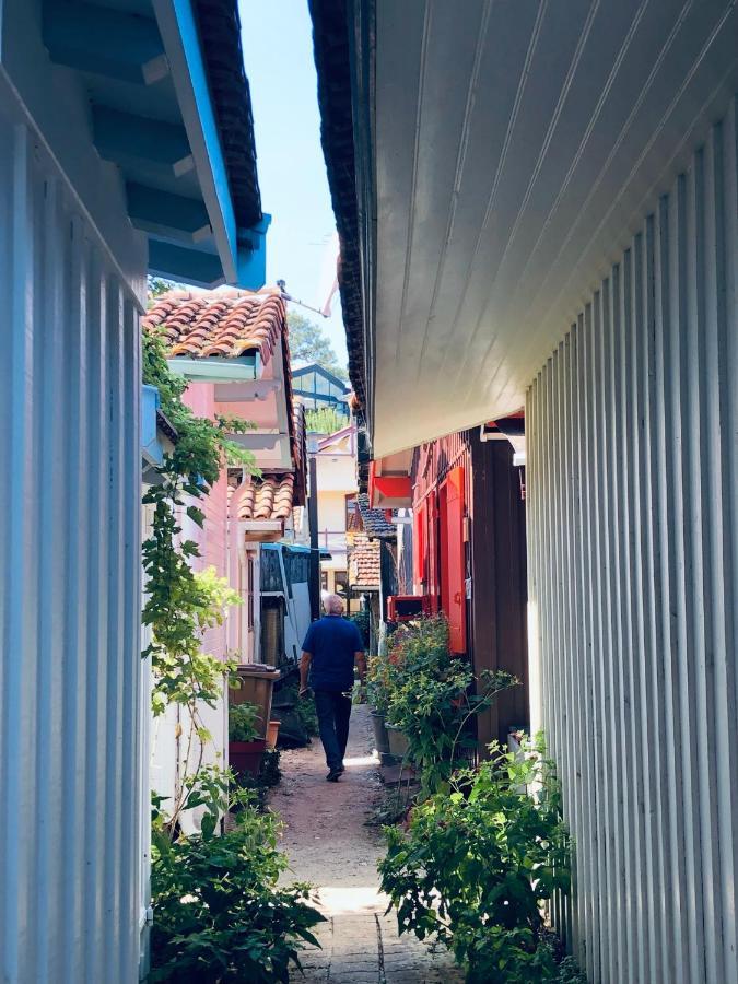 Chambres D'Hotes Any-Jean Louis A Mios Eksteriør billede